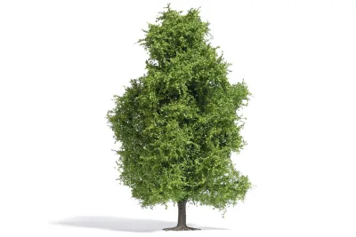 Busch 3741: H0 Espe Frühling