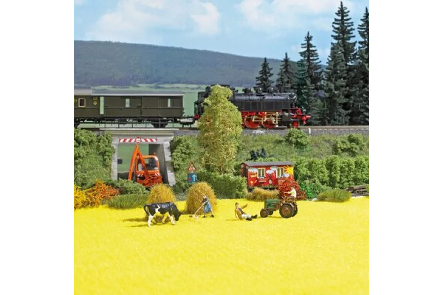 Rapsfeld