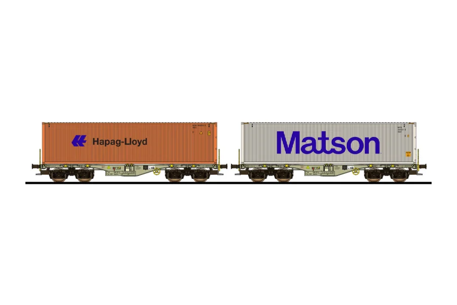 Container wagon type Sgmmns