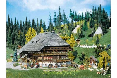 Faller 130366: Schwarzwald-Hof