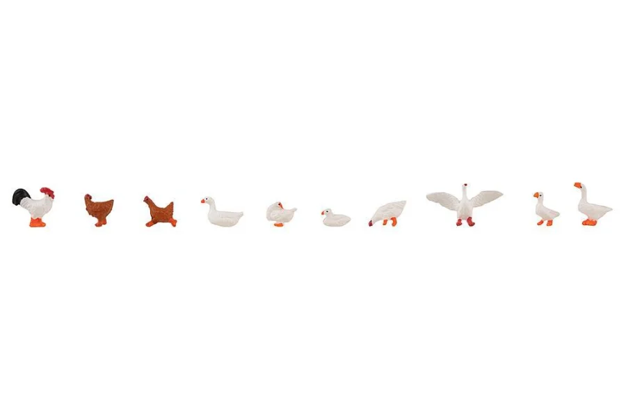 Hühner, Enten und Gänse