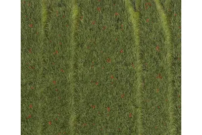 Faller 180458: Premium Landschaftssegment Getreidefeld mit Mohnblumen