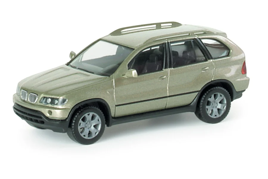 BMW X 5