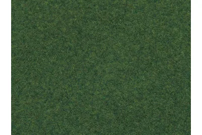 NOCH 07081: Wildgras mittelgrün 6mm