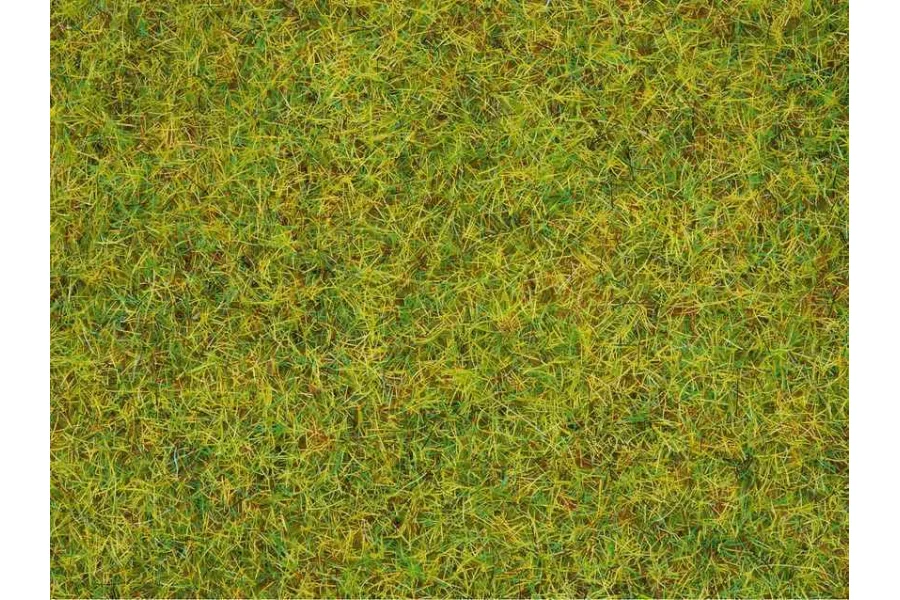 Streugras Sommerwiese 2,5 mm