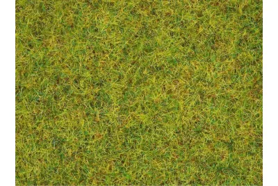 NOCH 08310: Streugras Sommerwiese 2,5 mm