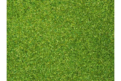 NOCH 08411: Scatter material alpine pasture ground, large pack