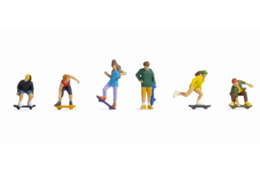 Skateboarder