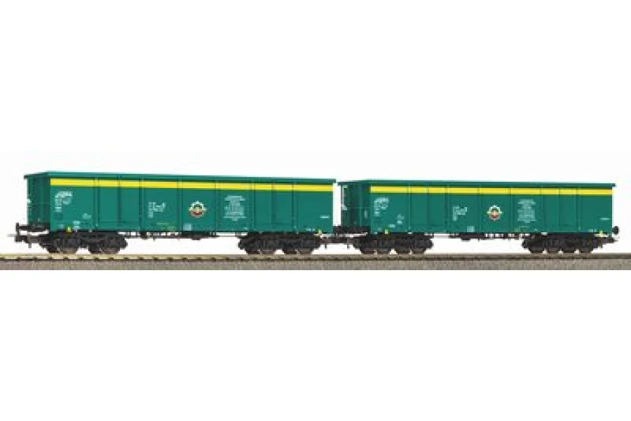 Zestaw 2 wagonów towarowych PKP V
