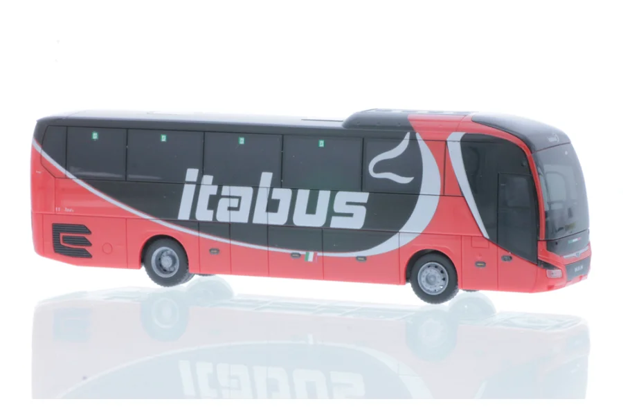 Lion's Coach 17