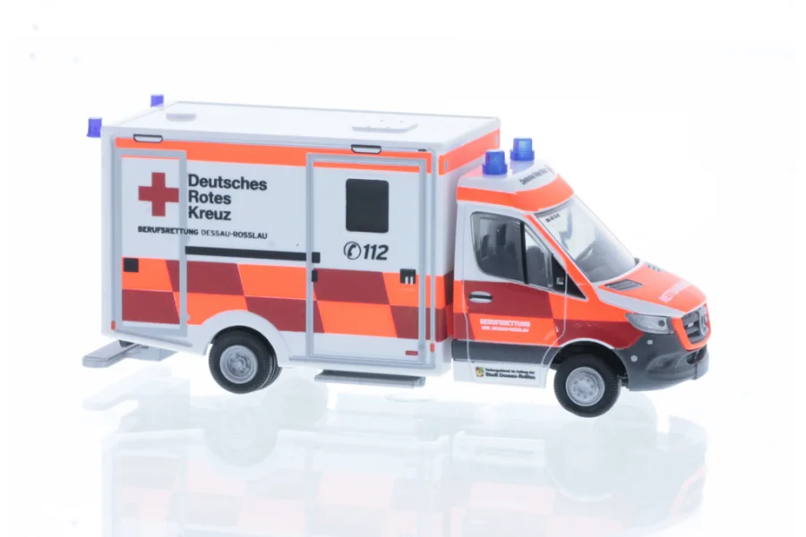WAS RTW´18 DRK Dessau-Rosslau
