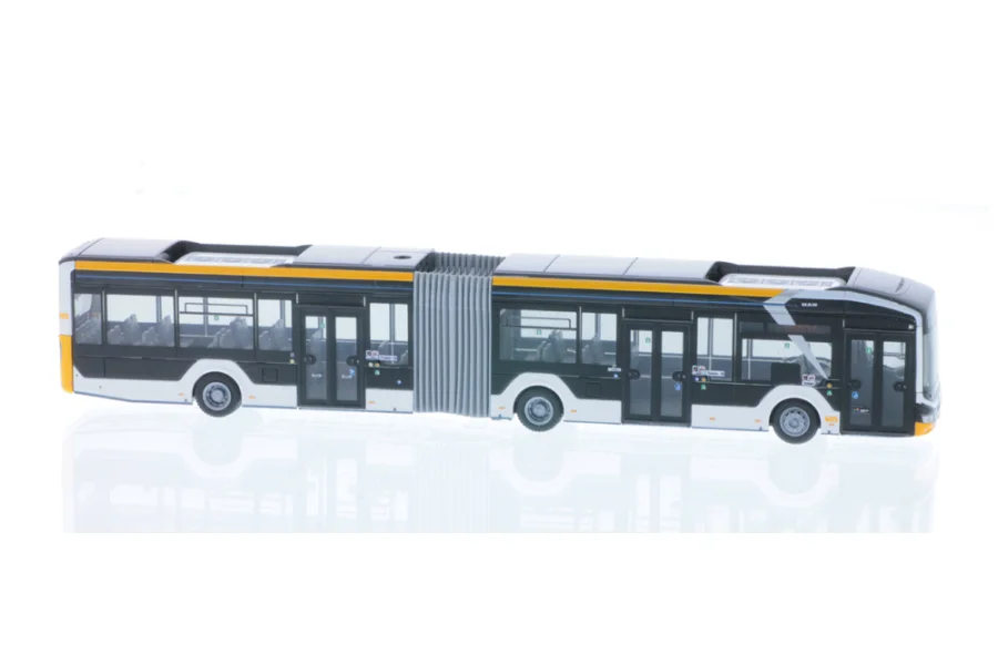 Lion's City 18´18 E Mainzer V