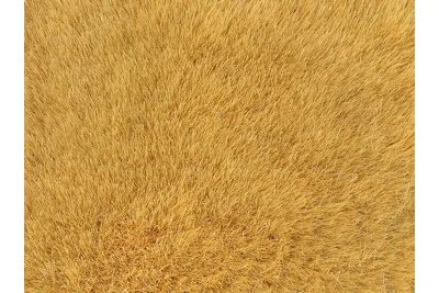 Vollmer 48417: Grasfaser Herbst 75g